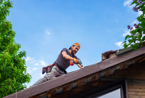 Best Roof Moss and Algae Removal  in Pratt, KS